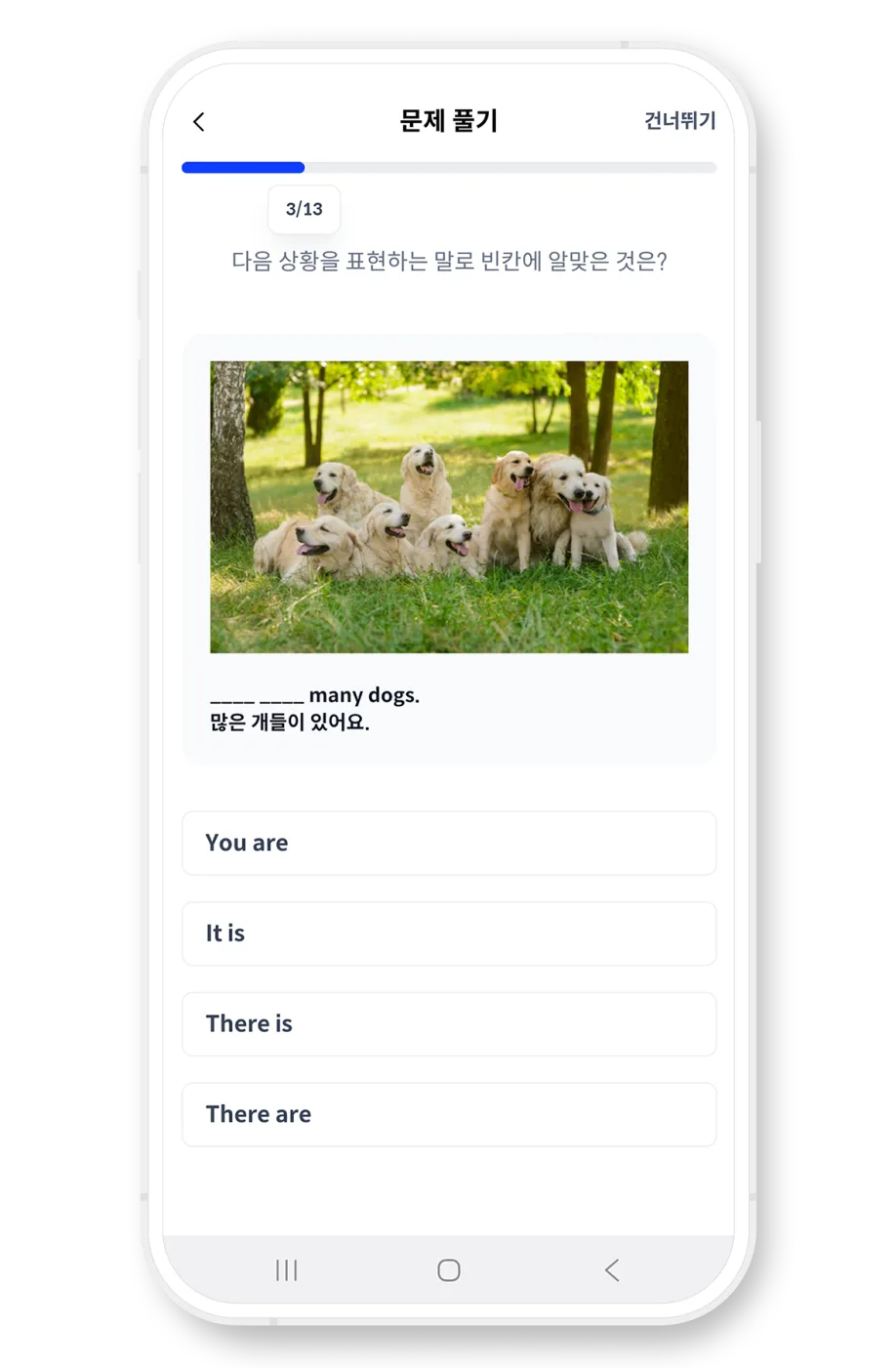 마이풀 학습 퀴즈 화면